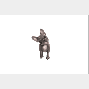 Puppy Frenchie Posters and Art